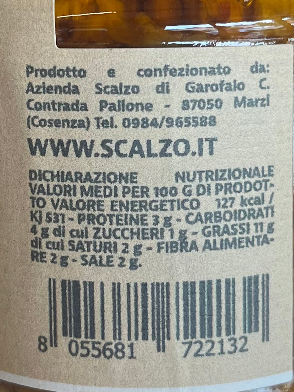 Crema di funghi porcini