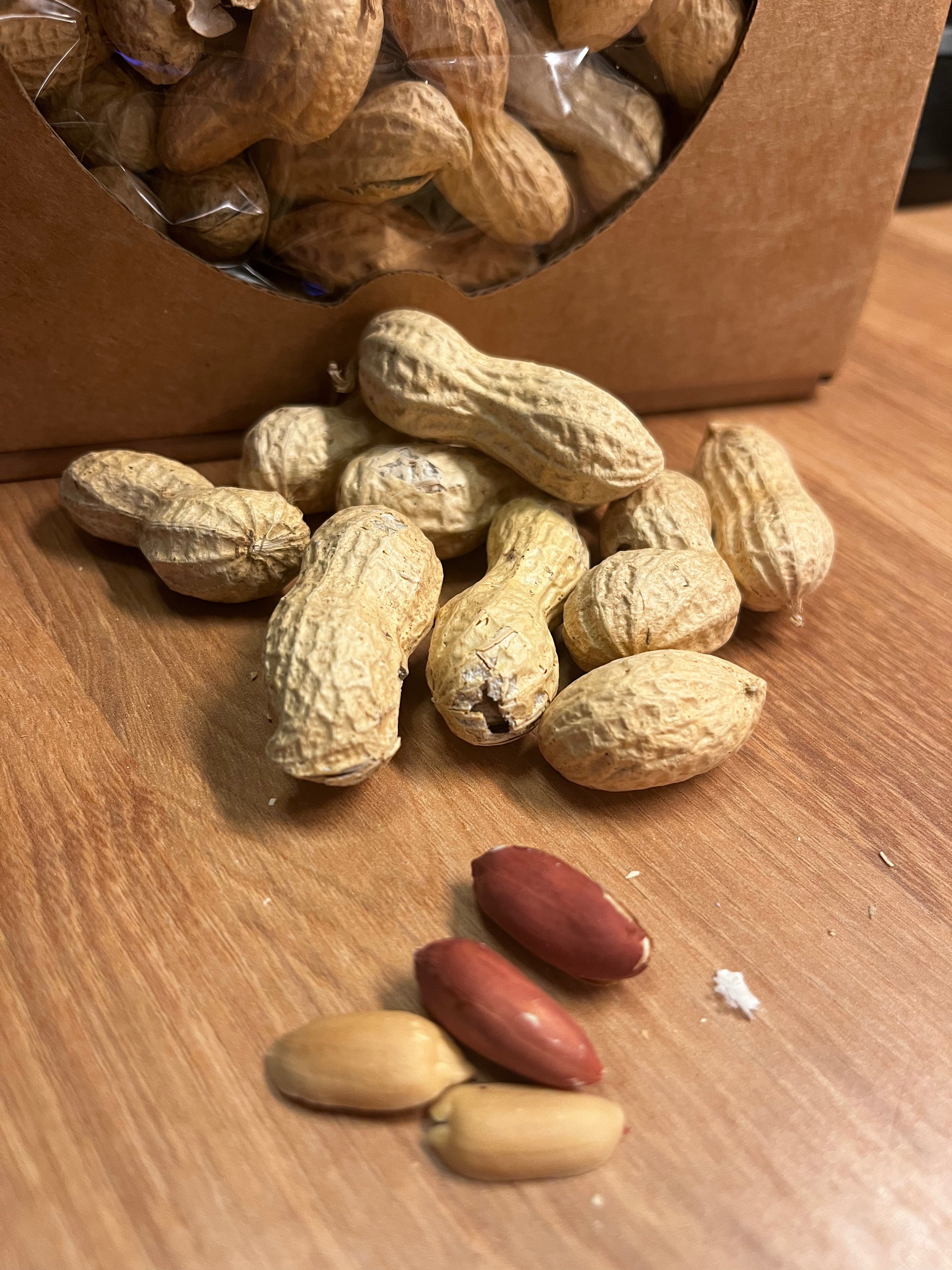 Arachidi del Pollino