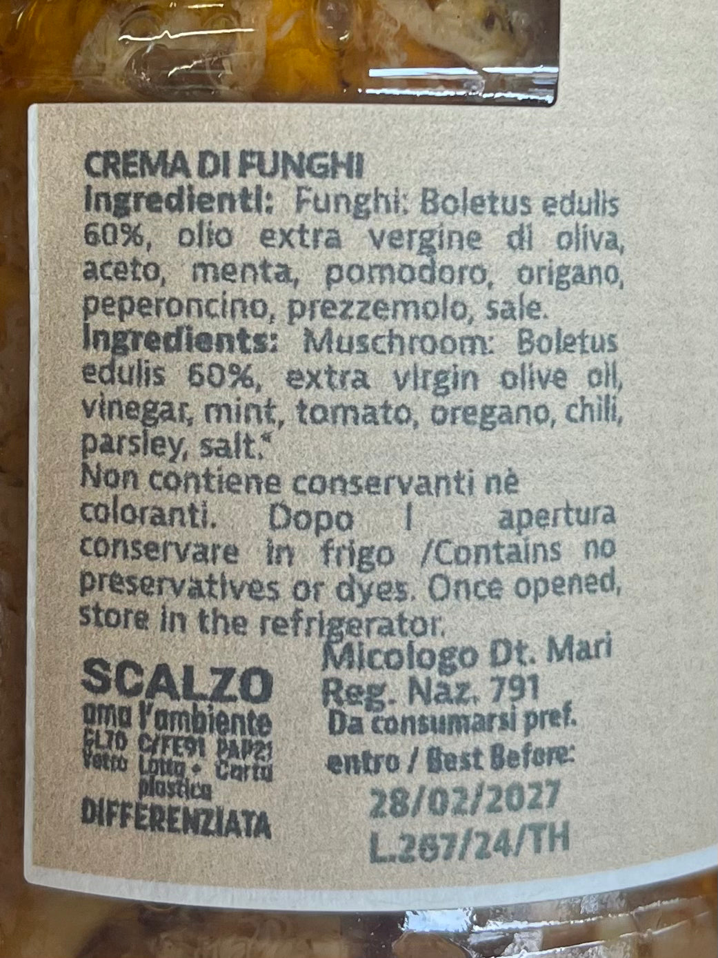 Crema di funghi porcini