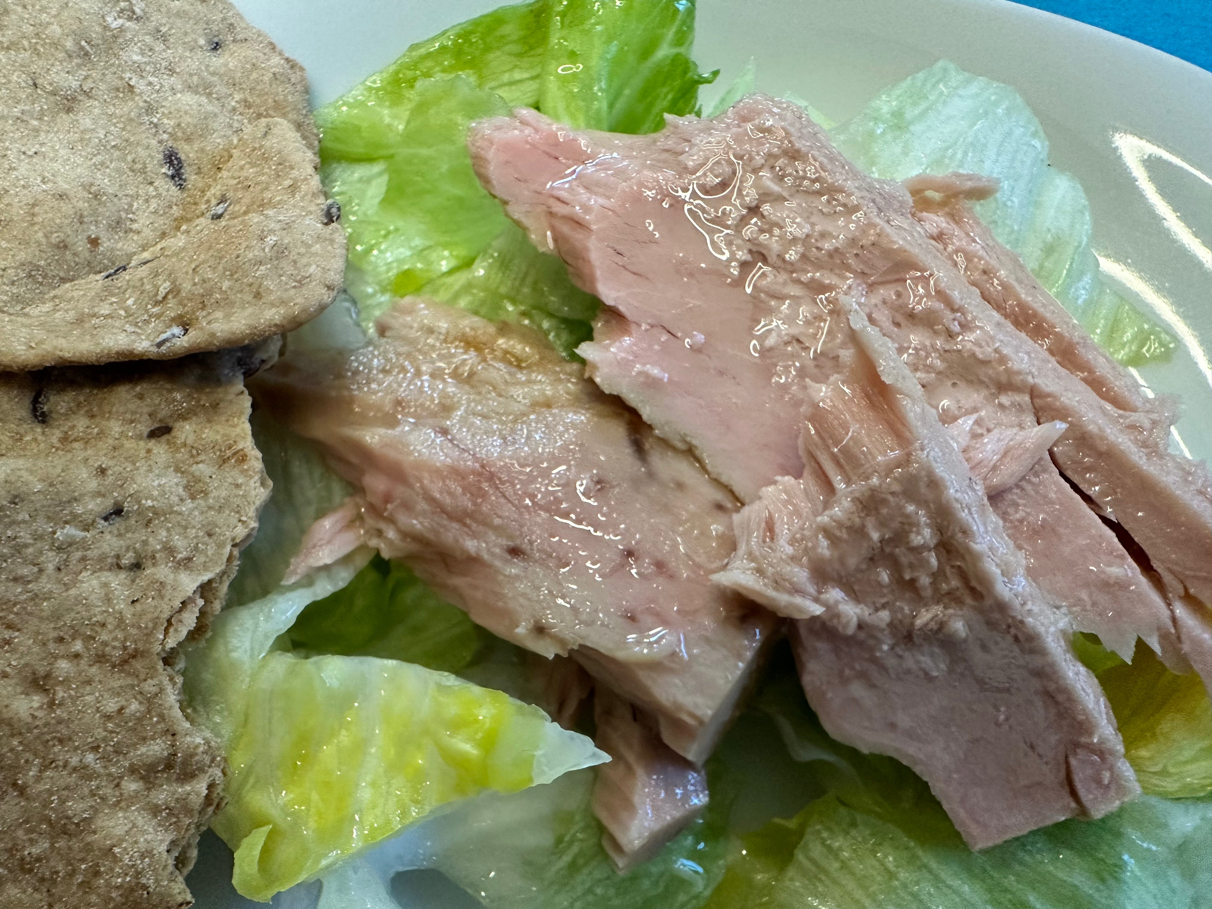 Filetti di Tonno all'Olio Evo